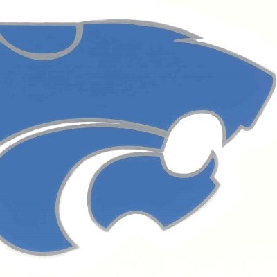 Centreville Athletics Profile