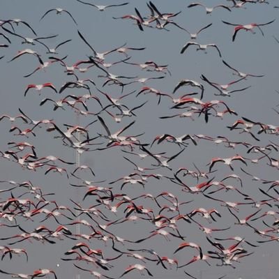 Earnestock's profile picture. ¿La biografía, no se escribe cuando se acaba? Pues mejor deja, anda...