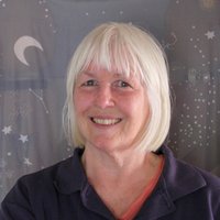 Carol Botha (@bothacarol) Twitter profile photo