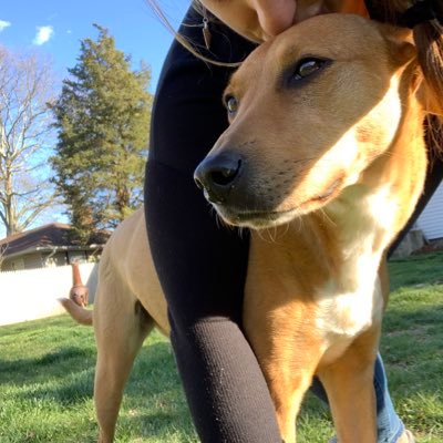 MissDeeSW's profile picture. 