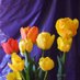 Amparo Alonso (@violeta_algarve) Twitter profile photo Amparo Alonso (@violeta_algarve) Twitter profile photo