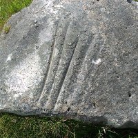 Variolation was the thing. Too late now. (@variolationt) 's Twitter Profile