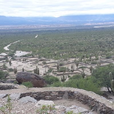 Ama la realidad que construyes y ni aún la muerte detendrá tu vuelo - Silo