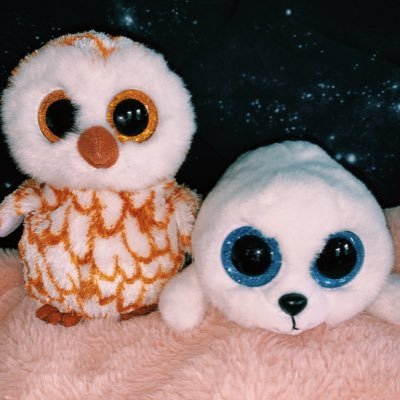 Hoolie the Owl and Cecil the Seal comin at you with organic fresh baked memes