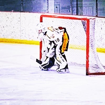 Athletic hockey goalie for the Pittsburgh predators