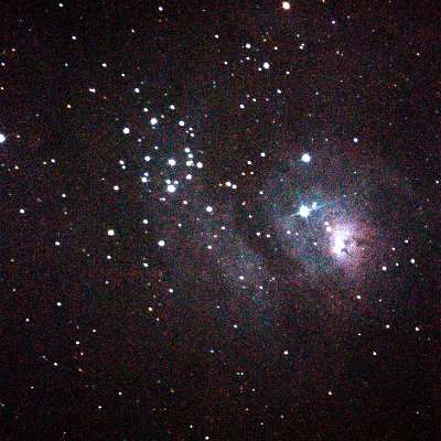 NakaRoots's profile picture. 