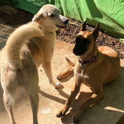 AN666's profile picture. 