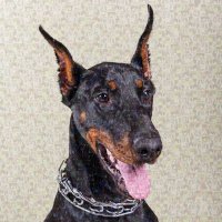 Cristian-Ștefan Țuică (@tcs_84) 's Twitter Profile