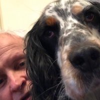 Pat Megginson (@patmegginson) 's Twitter Profile
