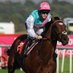 Tom Queally (@tpqueally) Twitter profile photo Tom Queally (@tpqueally) Twitter profile photo