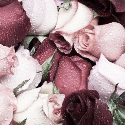 Alno0of33's profile picture. يارب لطفك وعفوك ورحمتك 🤲🏻