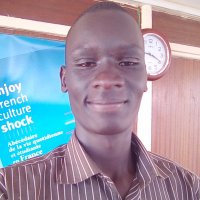 Parwosoft Language Solutions (@parwosjean) 's Twitter Profile