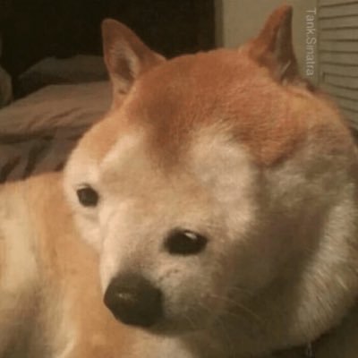 booktt's profile picture. 