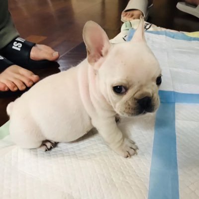 kayuirf's profile picture. 