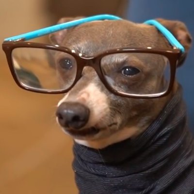 Krawl9's profile picture. Just vibin'