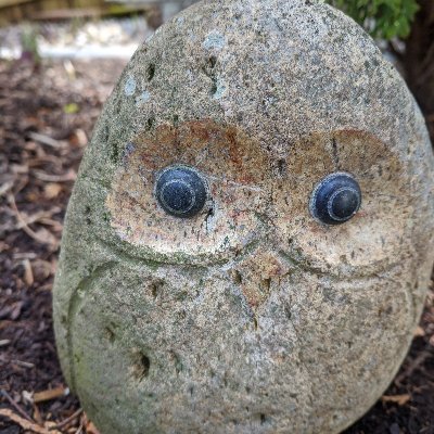 lib5410's profile picture. Coffee drinker, concerned world citizen,screaming into my pillow.