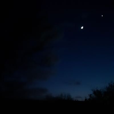 forgacs_gabor28's profile picture. Nothing much, learning pentesting