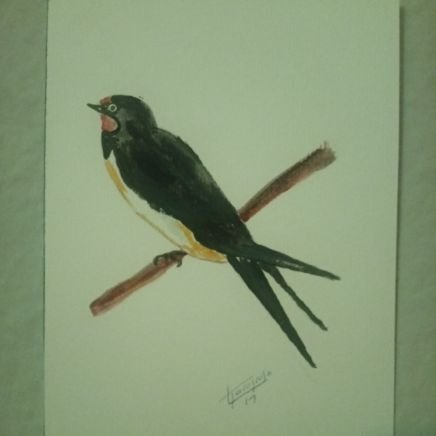 lapureta1's profile picture. 