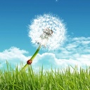 Esky - @StarWalker - Twitter