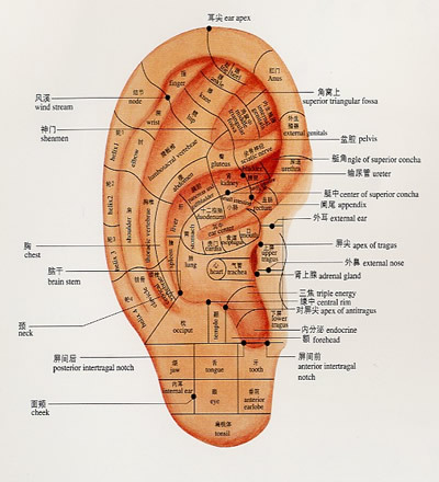 ear acupuncture
Acupuncture
Health