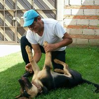 Antelmo Jimenez (@jimenezantelmo1) 's Twitter Profile