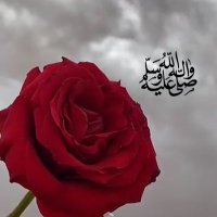 ضوء القمر🌕 (@liilltt) 's Twitter Profile
