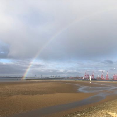 KingwellSue's profile picture. Hard working mum who enjoys a glass of wine ...loves animals and nice people ❤️