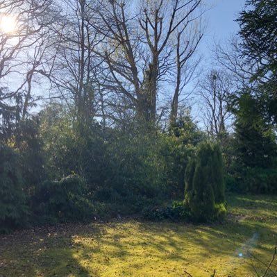 JackieWaldron10's profile picture. Walking , reading and enjoying the simple things in life