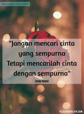 Ardinal06918292's profile picture. love peace