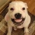 keith coleman (@keithcoleman76) Twitter profile photo keith coleman (@keithcoleman76) Twitter profile photo