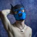 Hugo Puppy (@puphuey) Twitter profile photo Hugo Puppy (@puphuey) Twitter profile photo