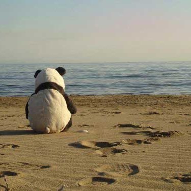 AnaOkaih's profile picture. 