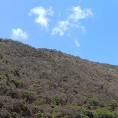 hector_torres12's profile picture. Ing. Agronomo UCV