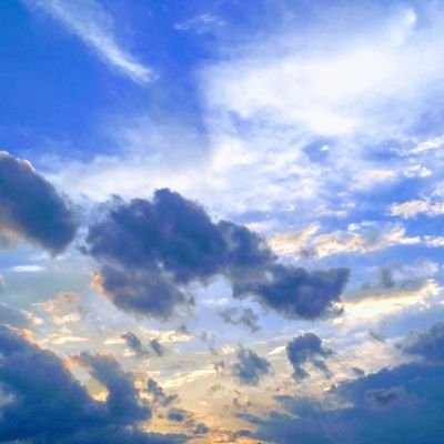 コンさんのプロフィール画像
