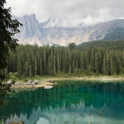 OYXUJS's profile picture. 