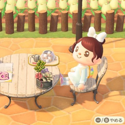 みーさんのプロフィール画像
