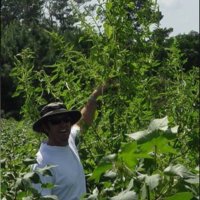 Jeremy Kichler (@grpigweed) 's Twitter Profile
