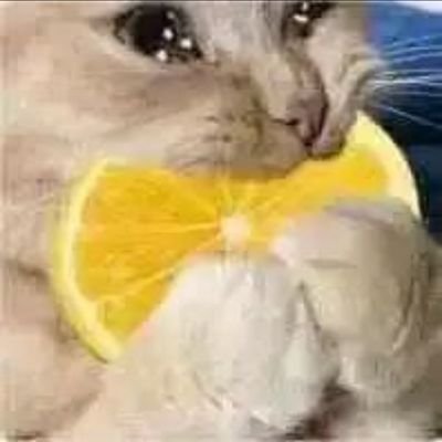 minami373saiko's profile picture. 