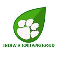 India's Endangered(@IndiasEn) 's Twitter Profile Photo