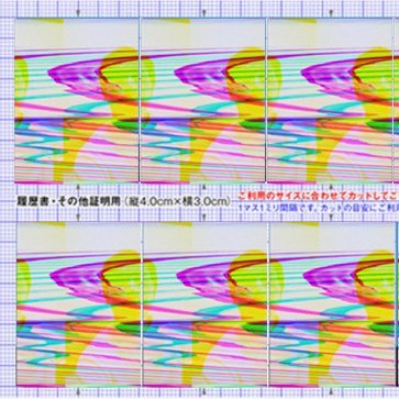 shigashunsuke's profile picture. 記録係