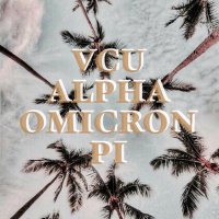 Alpha Omicron Pi VCU ☆ (@vcuaoii) 's Twitter Profile
