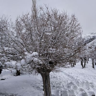 RSBisht007's profile picture. common man, nothing more