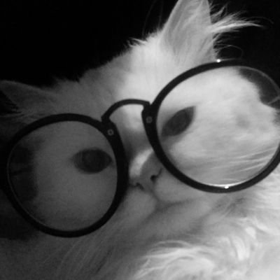 toibawani's profile picture. economics lover