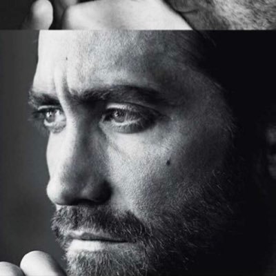 zxxo41's profile picture. تخصص قانون .. ليست بالمدة، إنما بالعُمق !