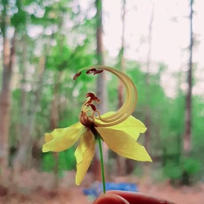 sakthiv84795002's profile picture. ,