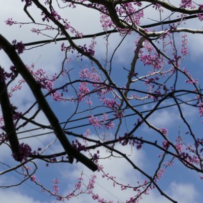 Christe73412980's profile picture. 