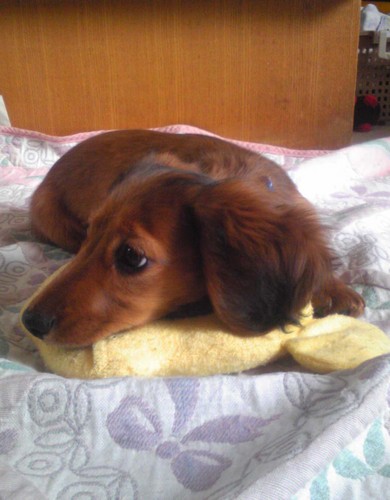 daikokusaiseiji's profile picture. 広告制作会社のクリエイティブディレクター。マスコミのバイアスがかかった情報ではなく真実を知りたい。国際情勢を正しく読み解き日本の為に正しい事を。