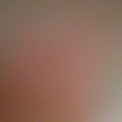 NavmeshS's profile picture. 