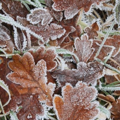 landscapearchi7's profile picture. Landscape architect