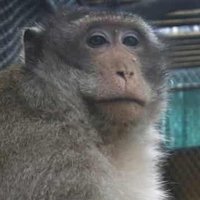 jjrb4567 (@jjrb4567) 's Twitter Profile